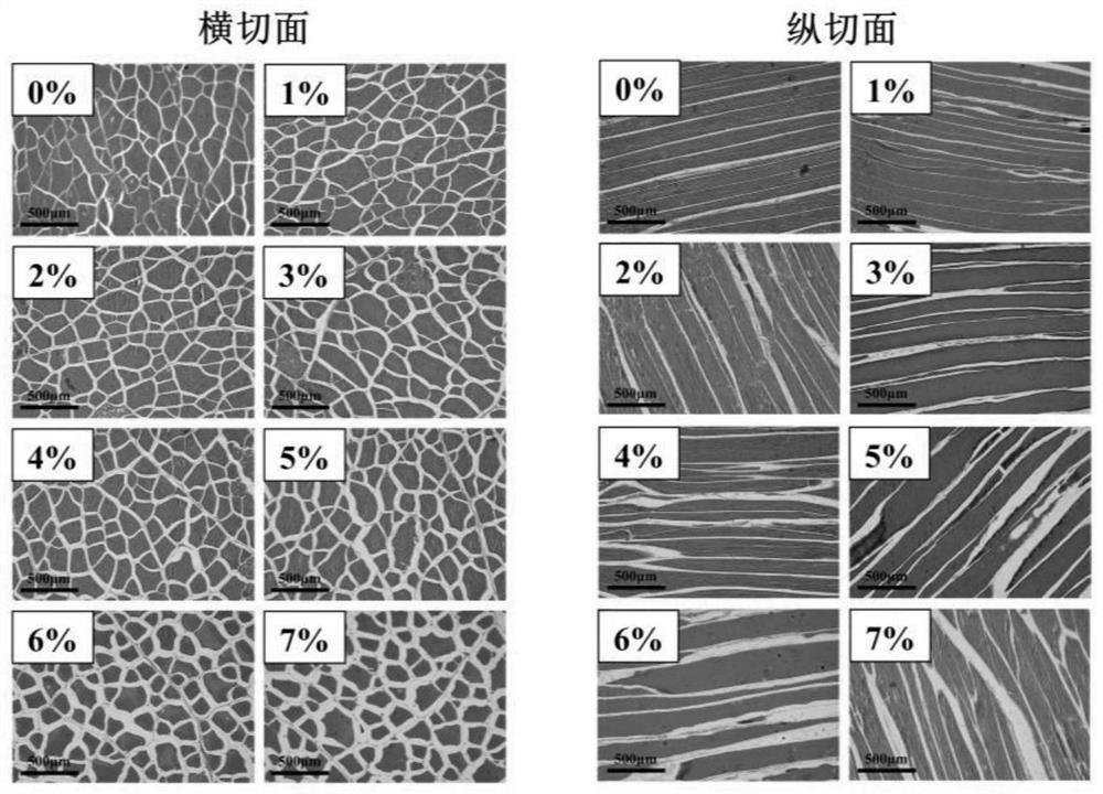 Method for promoting formation of fish meat and garlic clove meat based on gradient vacuum conditioning and application