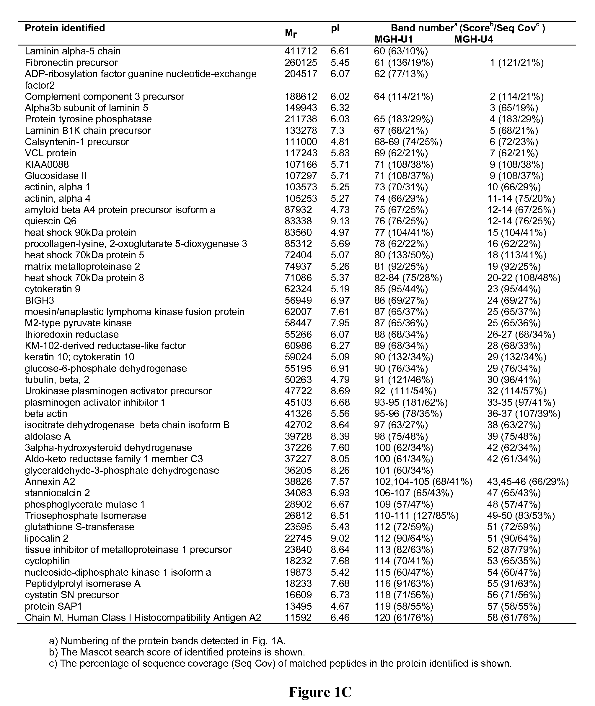 Method of identifying cancer biomarkers and cancer progression