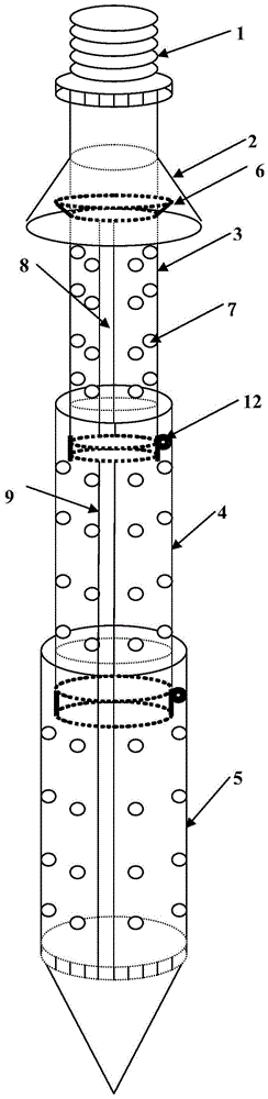 Injection type biological control method in a nest of red fire ants