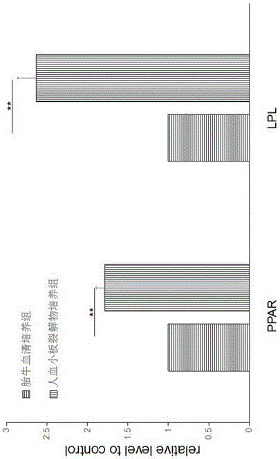 Preparation method for preparing culture kit of umbilical cord blood mesenchemal stem cells