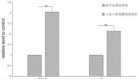 Preparation method for preparing culture kit of umbilical cord blood mesenchemal stem cells