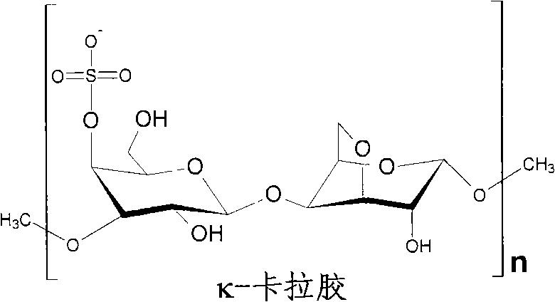 Vegetable fiber hollow capsule used for medicine and its preparation method