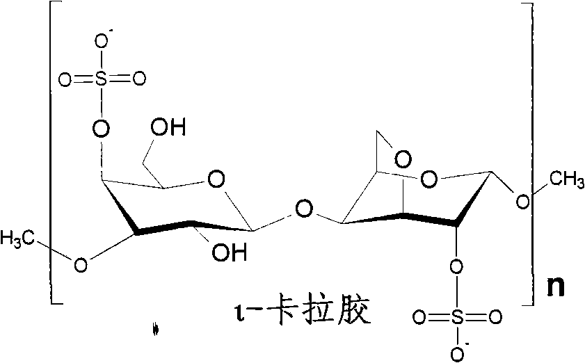 Vegetable fiber hollow capsule used for medicine and its preparation method