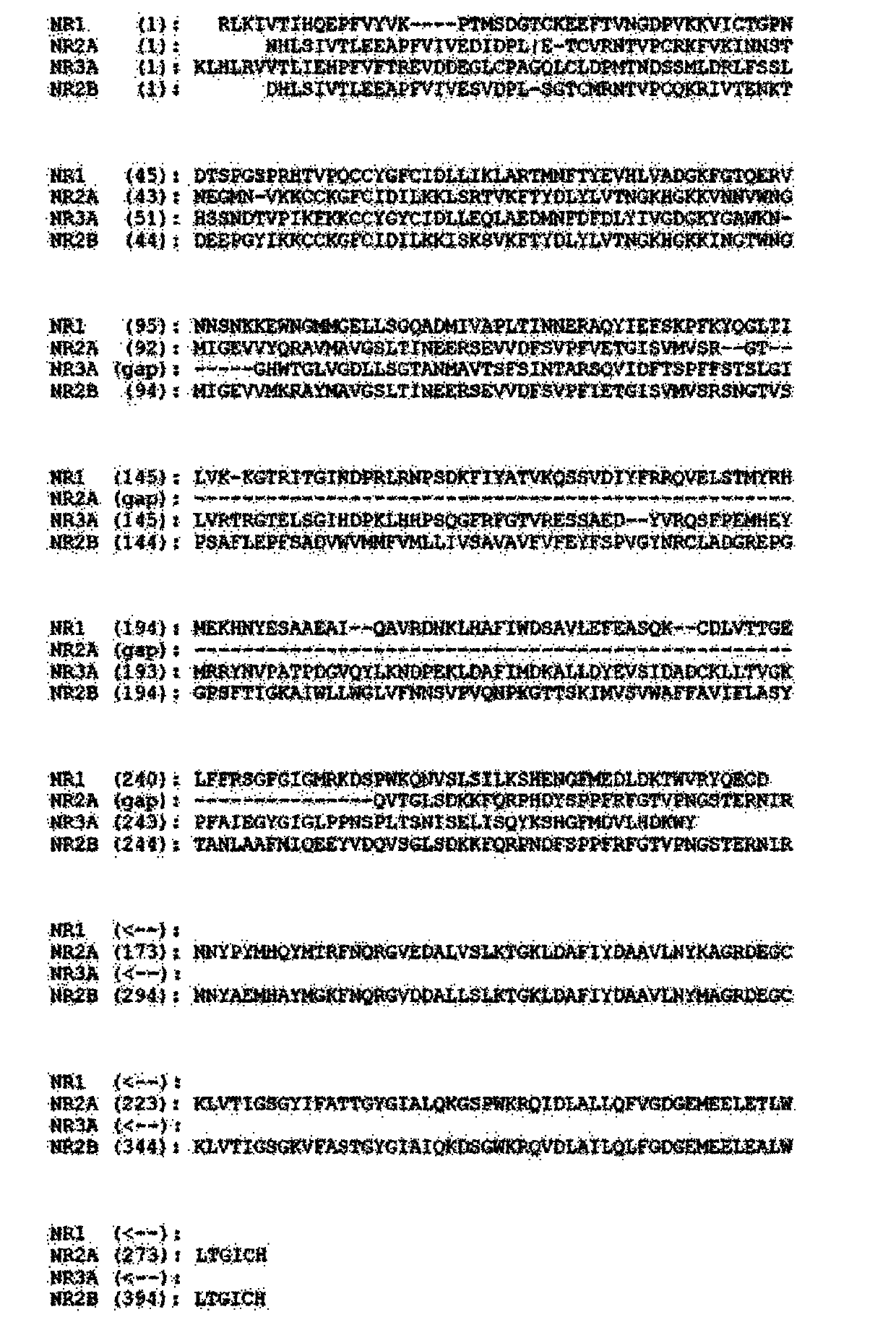 Conotoxin analog Glu-Con-G[1-13], and design and synthesis method and application thereof