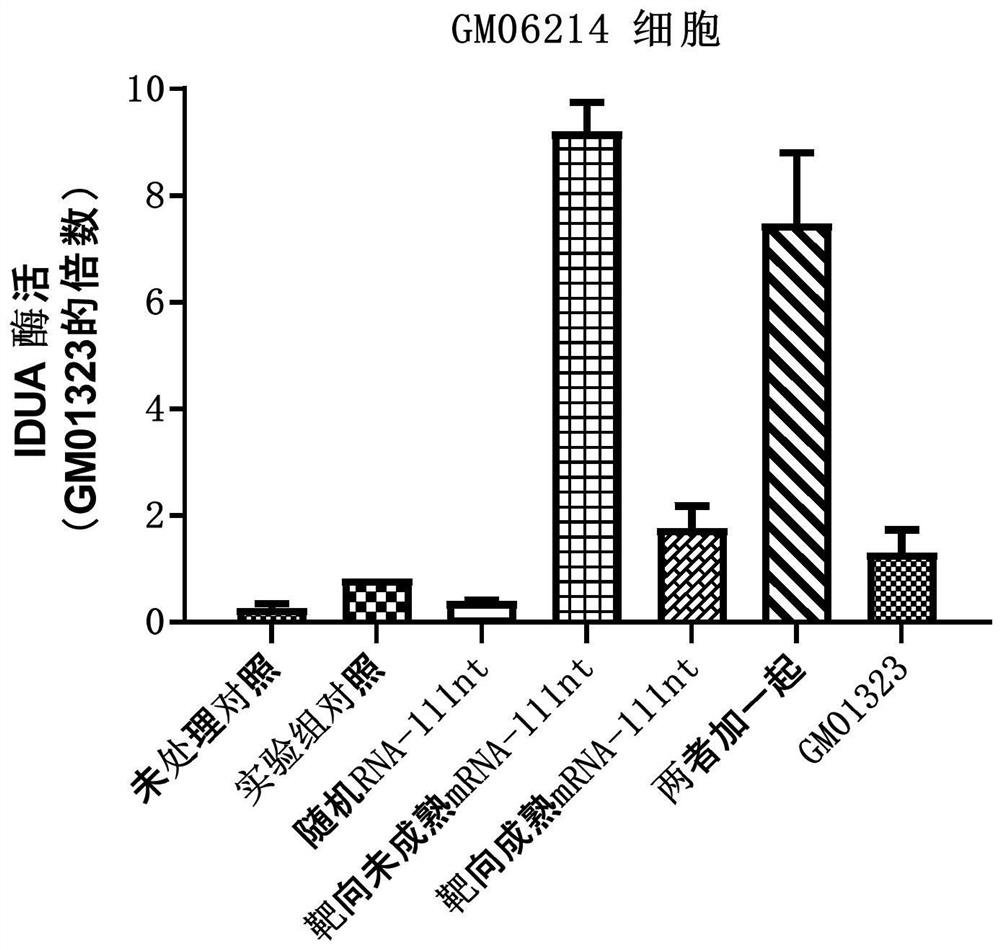 Methods and drugs for targeted editing of RNA based on leaper technology