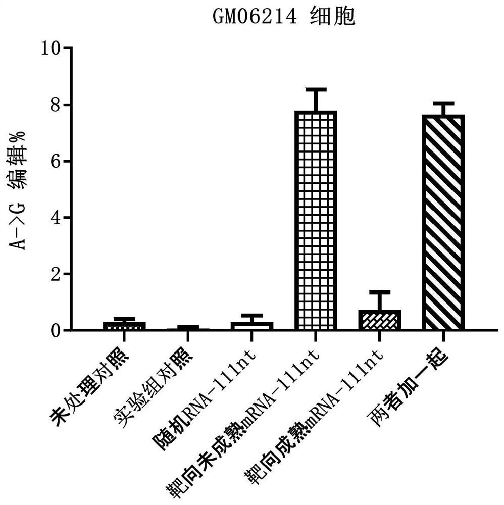 Methods and drugs for targeted editing of RNA based on leaper technology