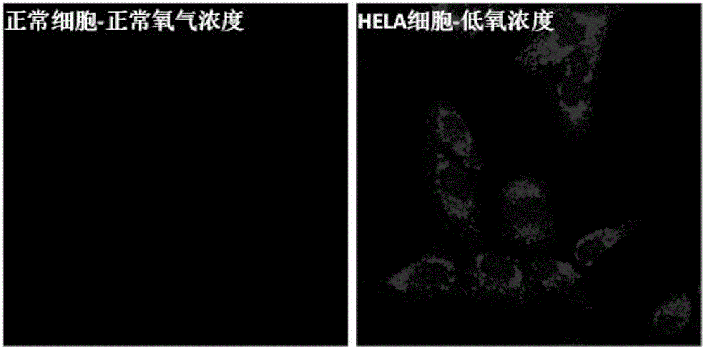 Pure organic room-temperature phosphorescent material, preparation method thereof and application thereof