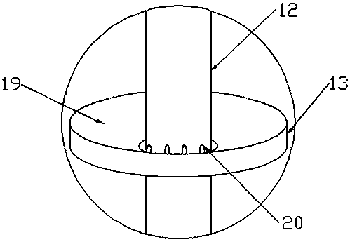 Processing device for meat smoking