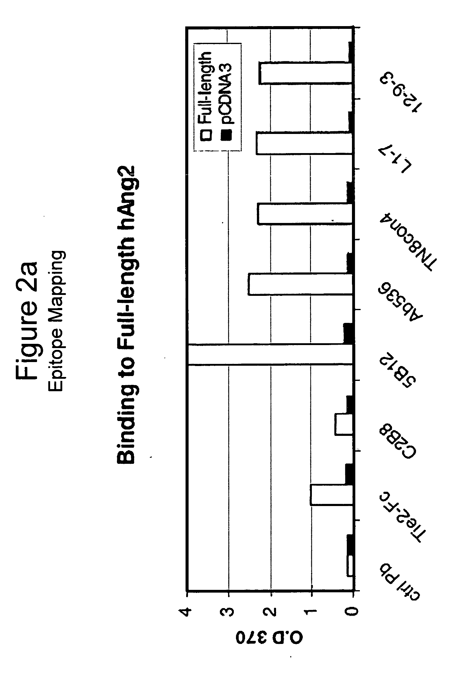 Angiopoietin-2 Specific Binding Agents