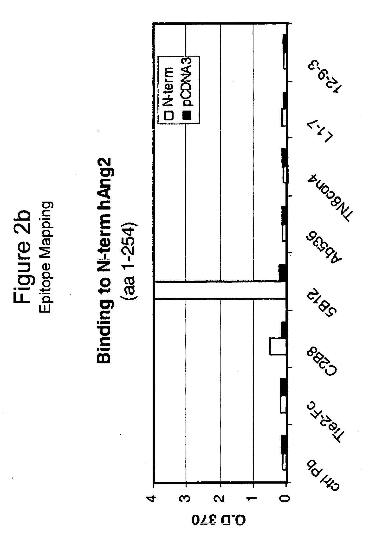 Angiopoietin-2 Specific Binding Agents