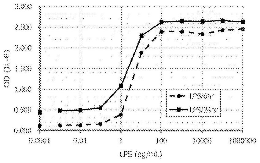 Method for in vitro evaluation of substance safety using human immortalized myeloid cells