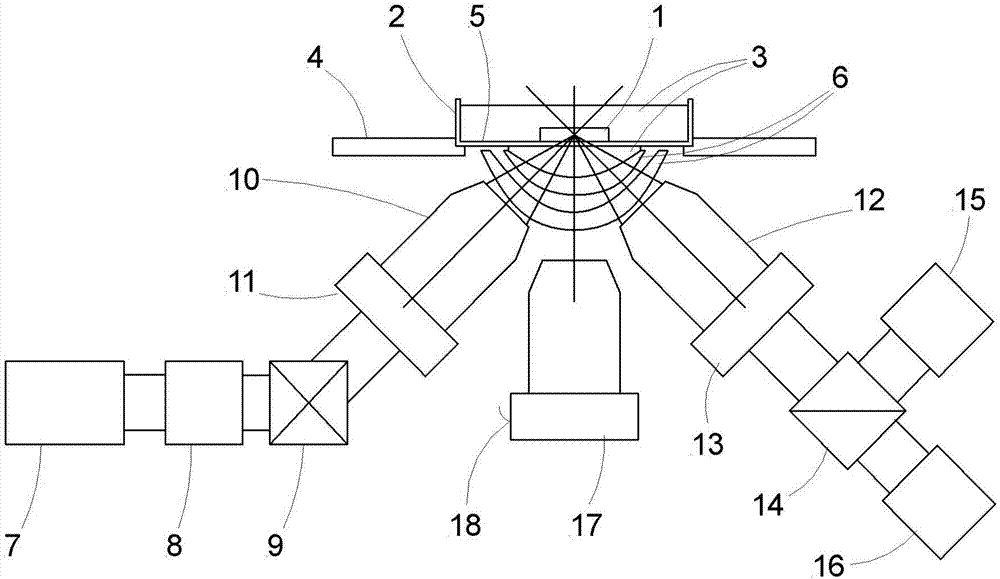 Method and assembly for light sheet microscopic analysis of a sample