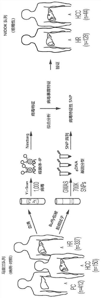 Virus exposure profile for detecting early hepatocellular carcinoma