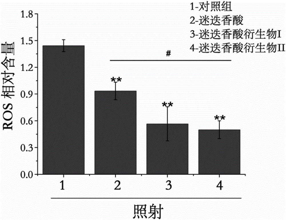 Rosmarinic acid derivative, preparation method and application