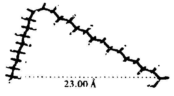 Compound dual-channel nervonic acid product for preventing and treating encephalopathy as well as preparation method and application thereof