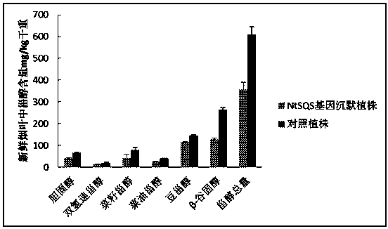 Tobacco squalene synthase?protein, tobacco squalene synthase?gene and application