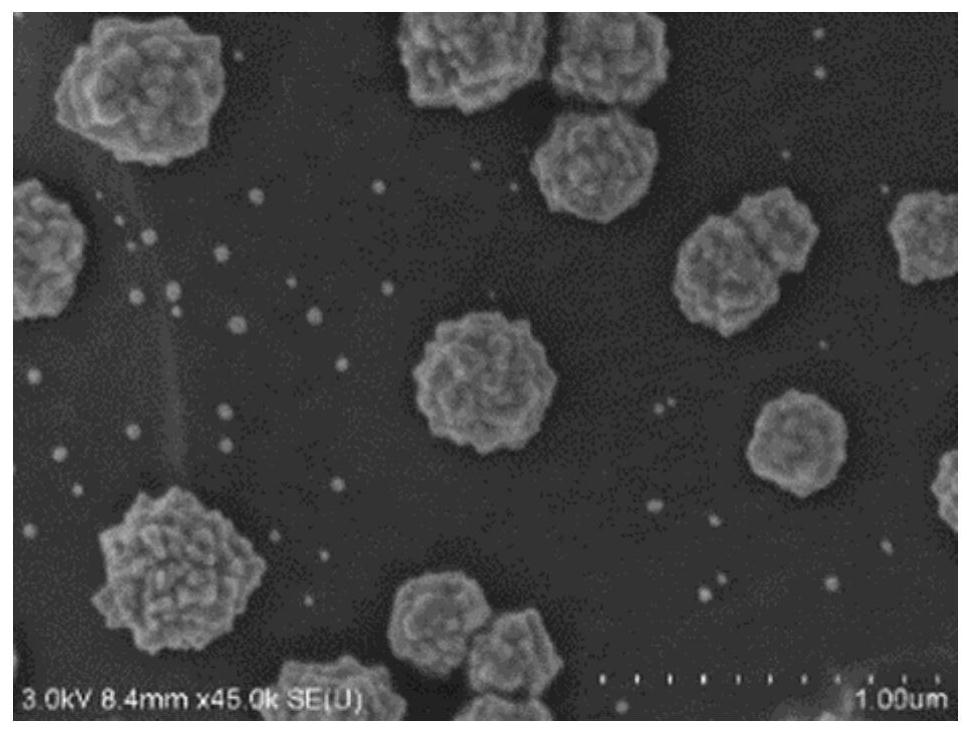 Titanium substrate with metal nanoparticles growing on surface in situ and application of titanium substrate