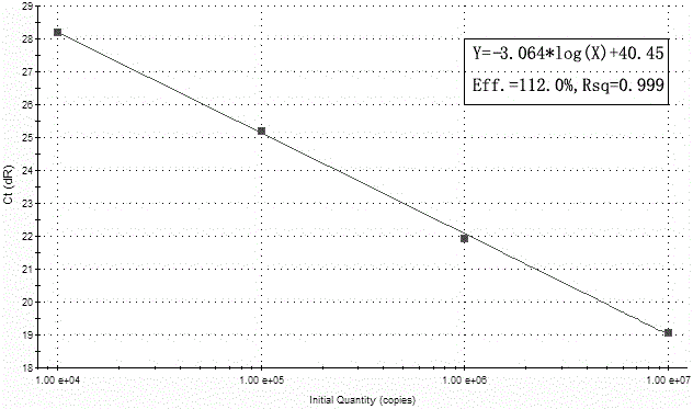 Primers, probes, kit and method for synchronous amplification detection of HCMV, HSV1, HSV2 and B19