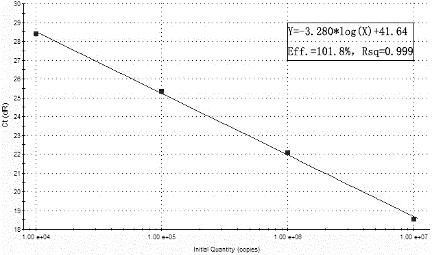 Primers, probes, kit and method for synchronous amplification detection of HCMV, HSV1, HSV2 and B19