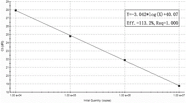 Primers, probes, kit and method for synchronous amplification detection of HCMV, HSV1, HSV2 and B19