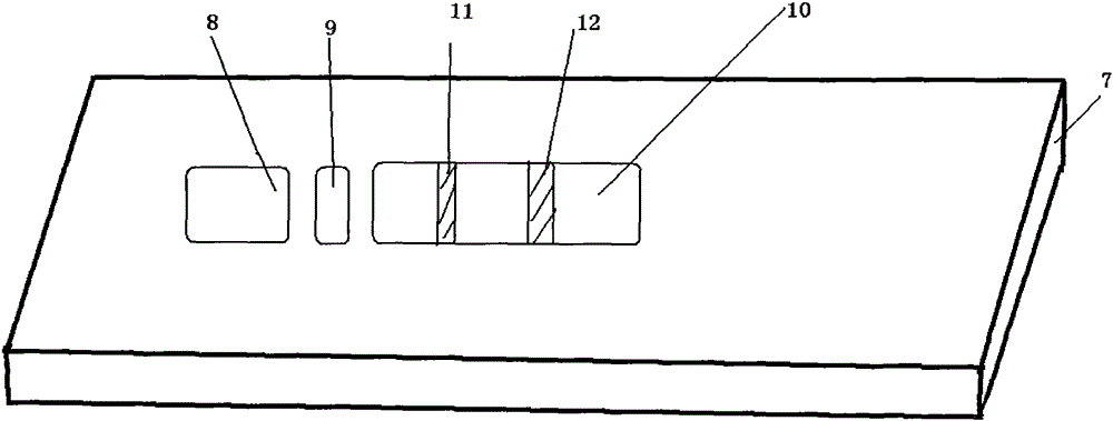 A detection test paper card for detecting Brucella bovis antibody by sandwich method