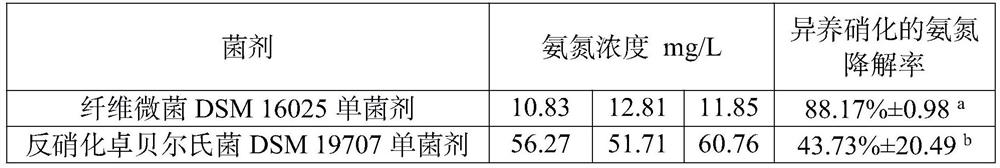 Composite microbial bacterial agent and microecological preparation and application for sewage treatment