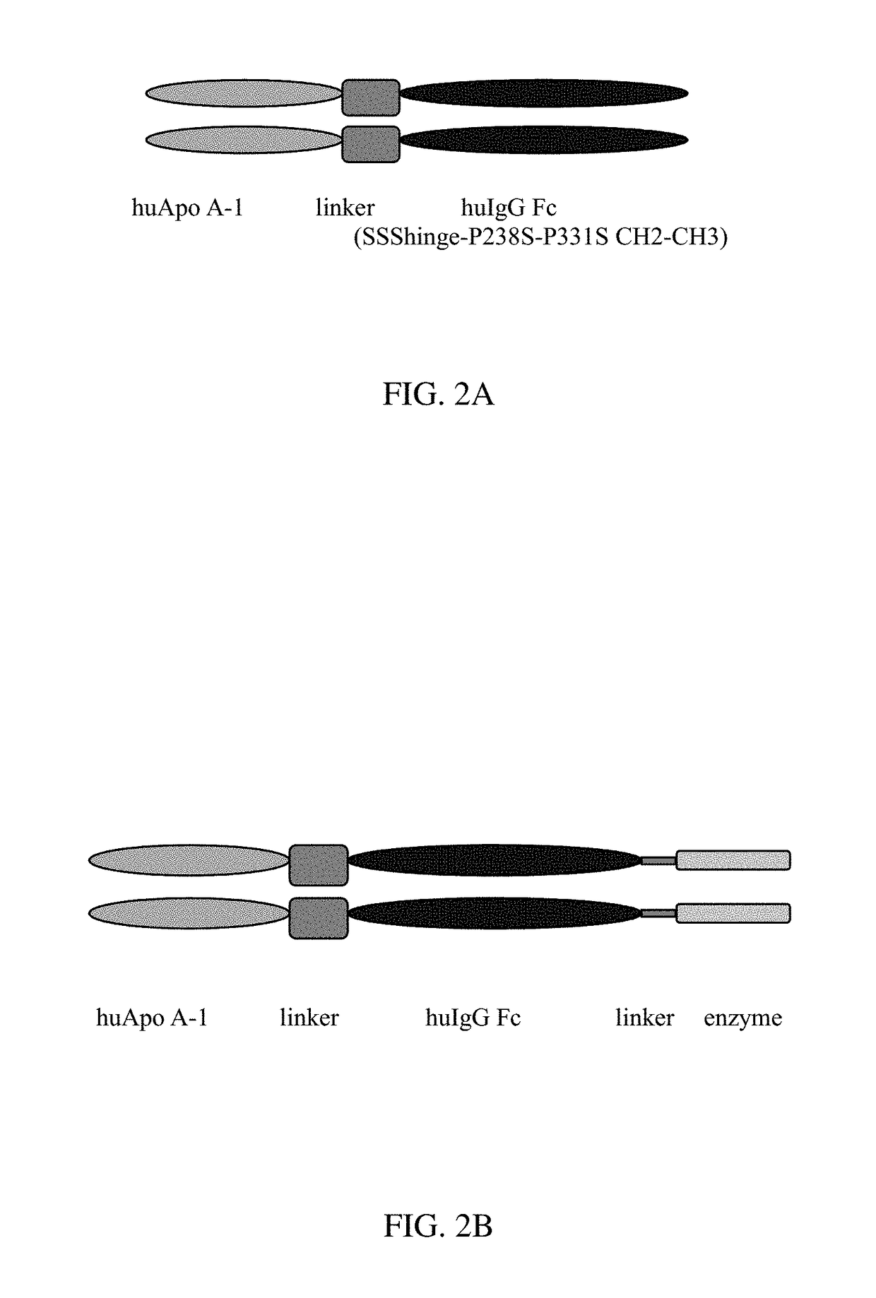 Apoa-1 fusion polypeptides and related compositions and methods