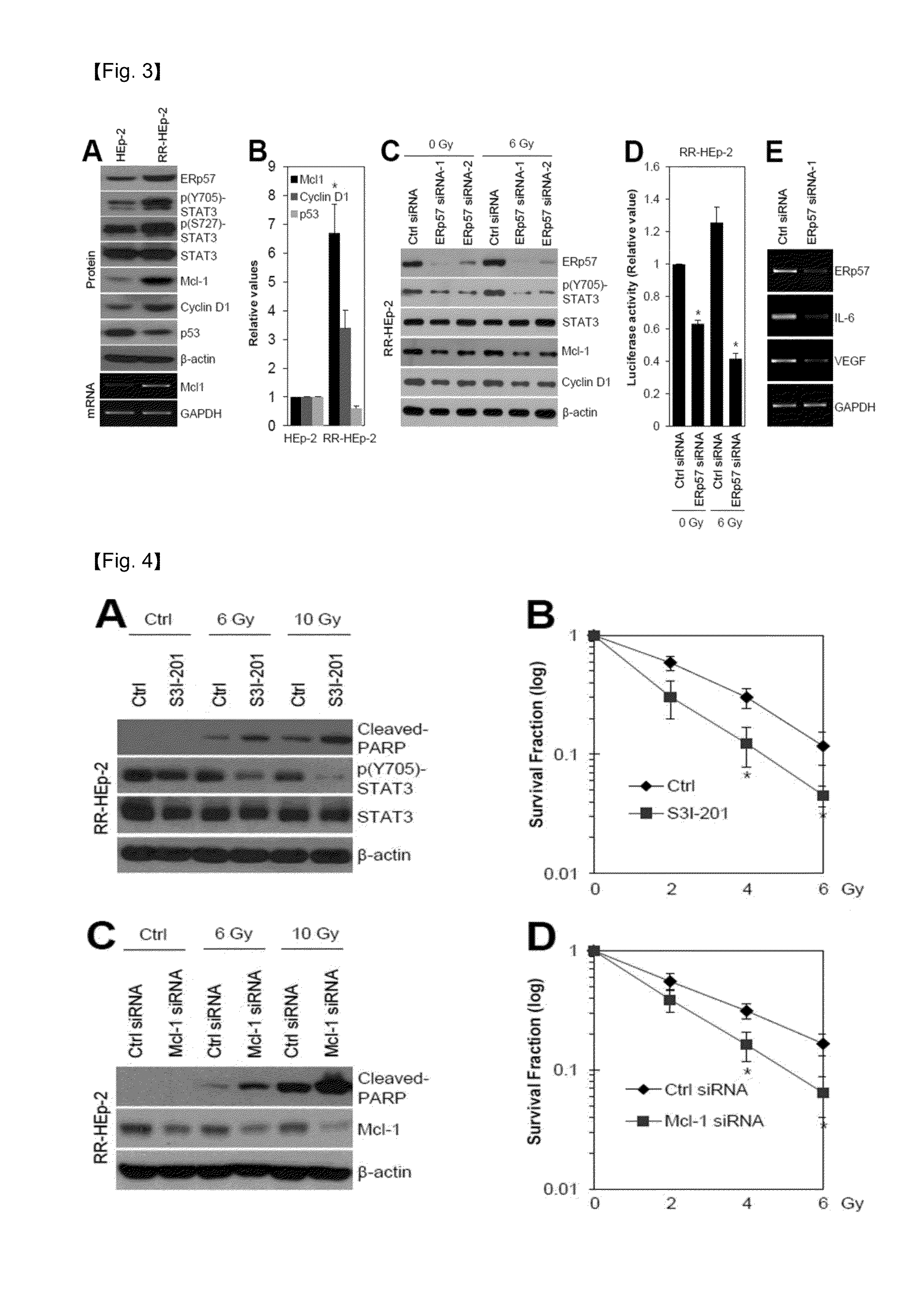 Method of diagnosing laryngeal cancer or diagnosing prognosis in radioresistance of laryngeal cancer