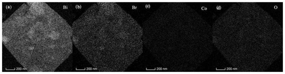 Modified BiOBr nanosheet as well as preparation method and application thereof