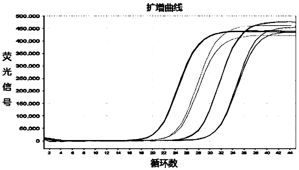 Preparation method of artificial dual false virus particle comprising HCV (hepatitis C virus) and HIV (human immunodeficiency virus) nucleic acid fragments