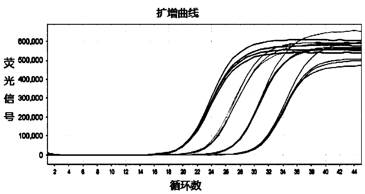 Preparation method of artificial dual false virus particle comprising HCV (hepatitis C virus) and HIV (human immunodeficiency virus) nucleic acid fragments