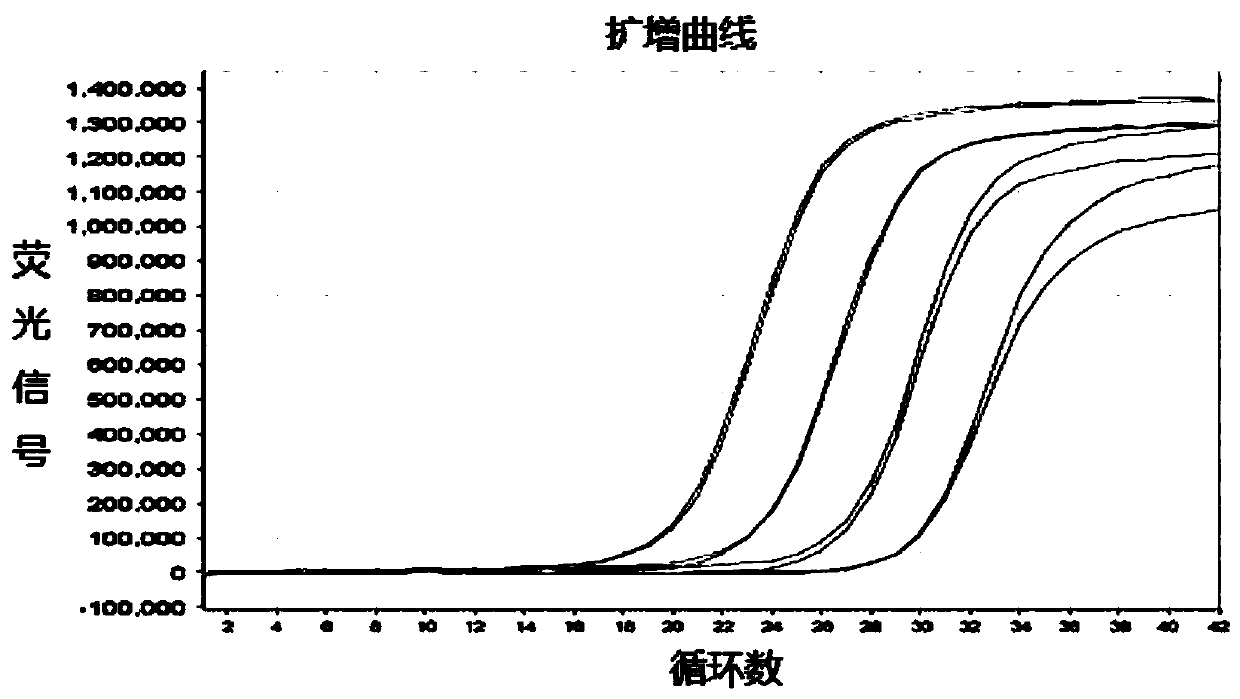 Preparation method of artificial dual false virus particle comprising HCV (hepatitis C virus) and HIV (human immunodeficiency virus) nucleic acid fragments