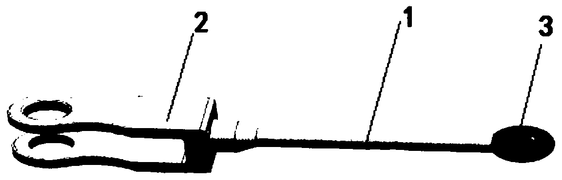 Manufacturing method in non-shaped state of long rod-shaped MIM product