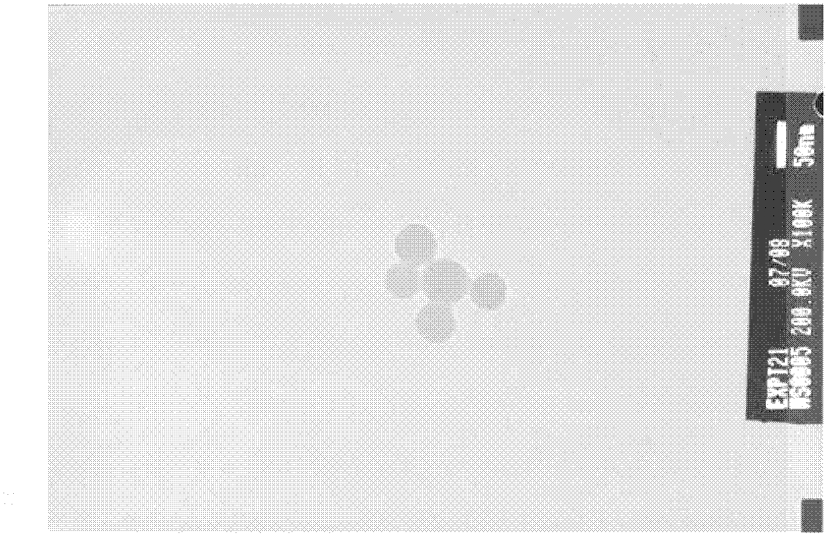 Method for preparing silica particles containing a phthalocyanine derivative, said particles, and uses thereof