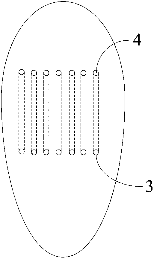 Near space airship and surface flow field control method thereof