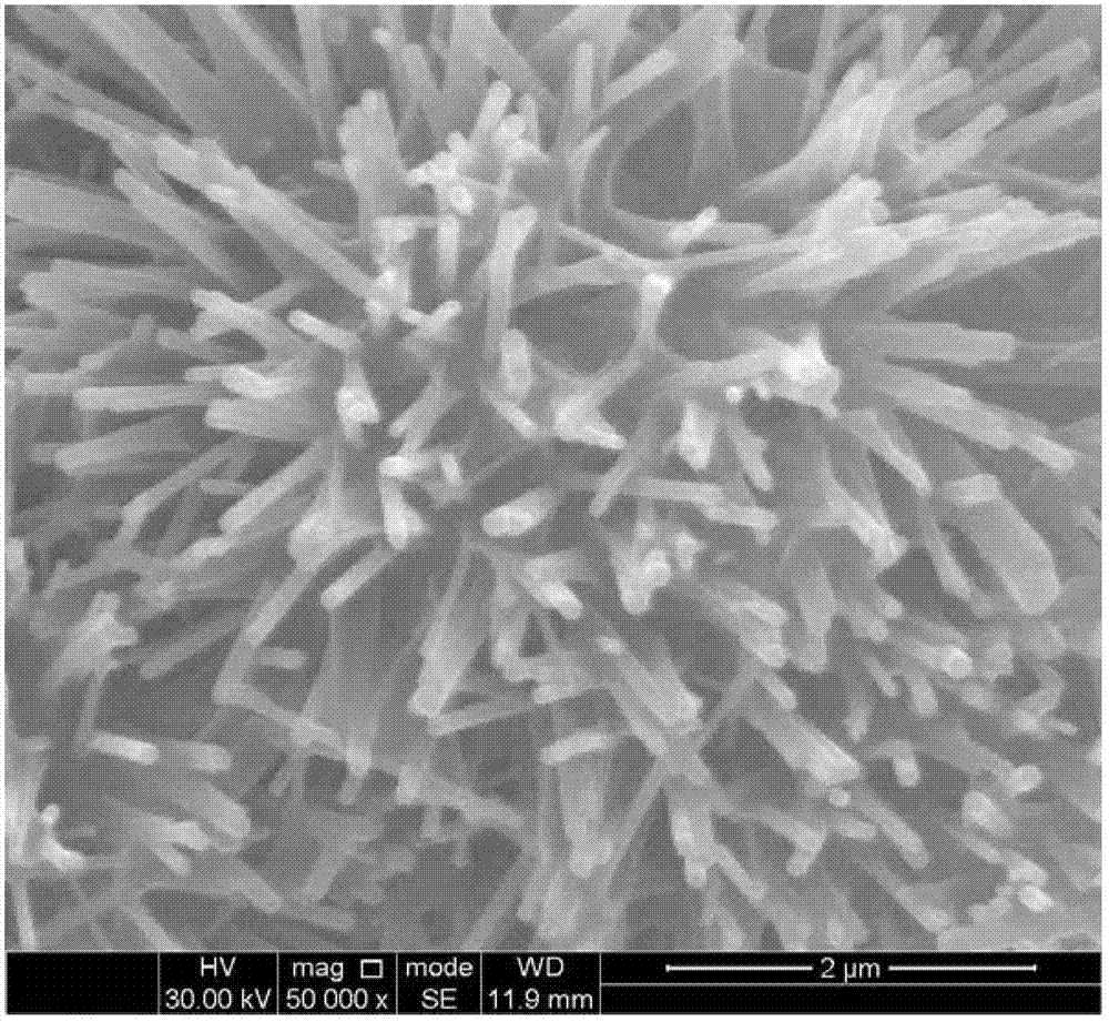 Sea urchin-like hydroxyapatite microparticles, preparation method and application thereof