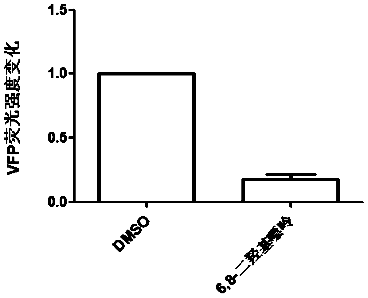 Application of a 6,8-dihydroxypurine compound in the preparation of anti-hepatitis B virus drugs