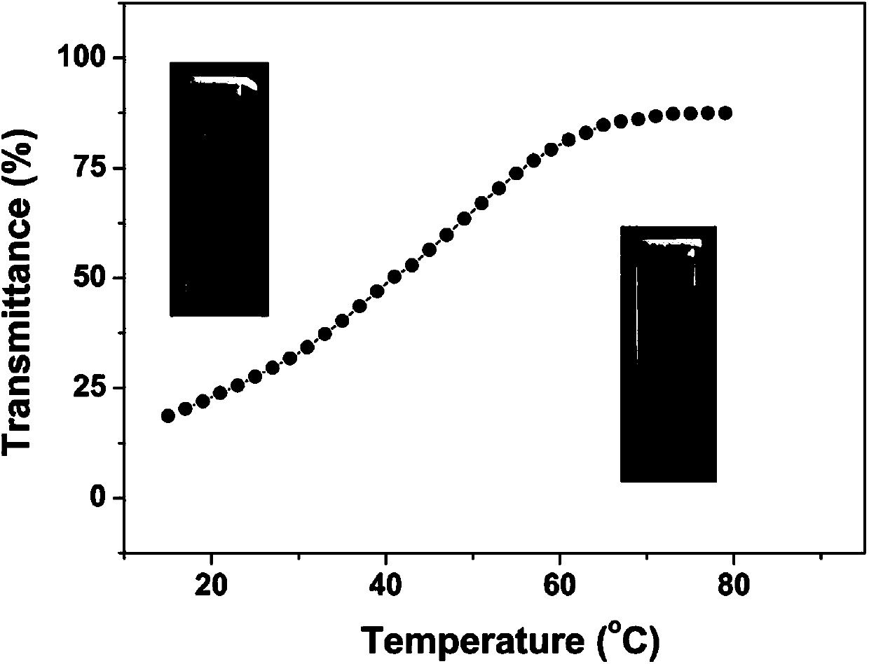 Composite nano sliver polymer antibacterial micelle and preparation method thereof