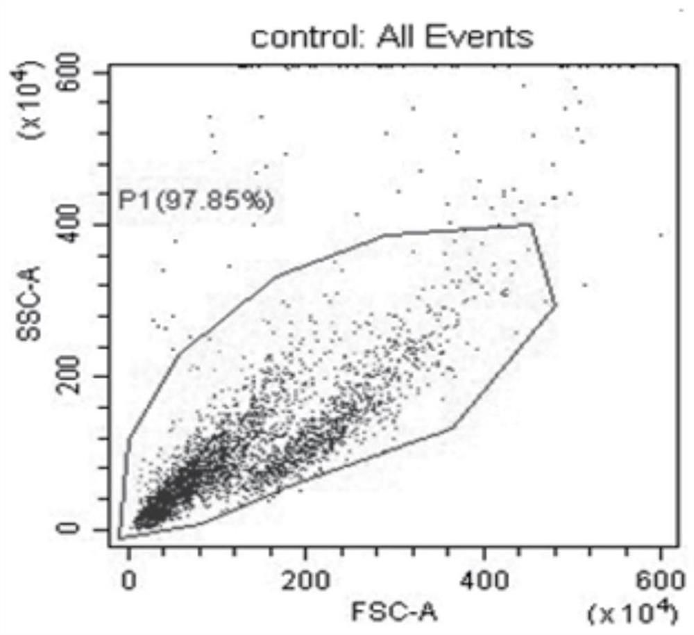 A kind of stem cell medicine and preparation method of fusion PNV targeting ischemic myocardial vessels