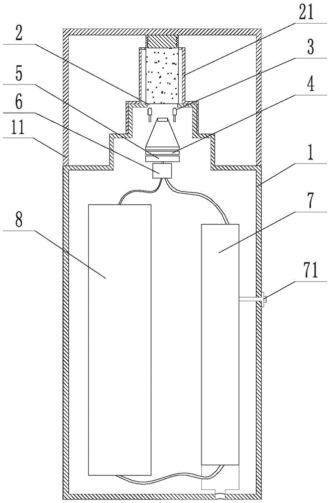 Portable near-infrared spectrum detection system