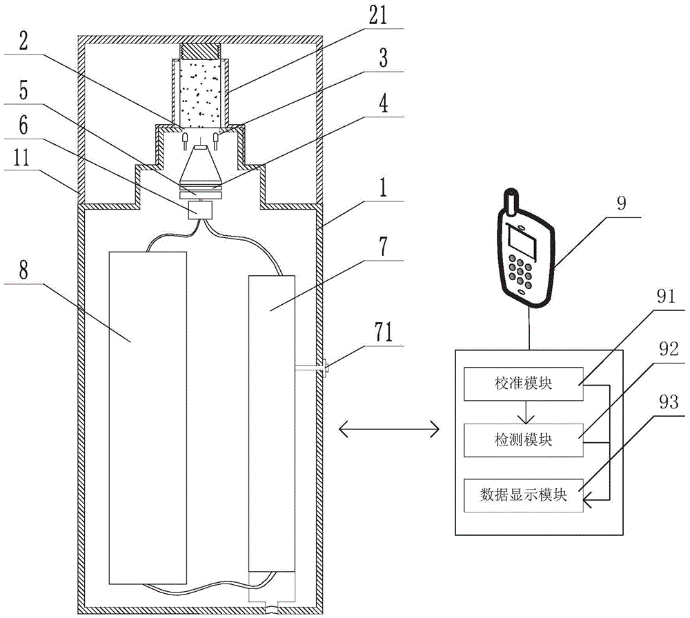 Portable near-infrared spectrum detection system