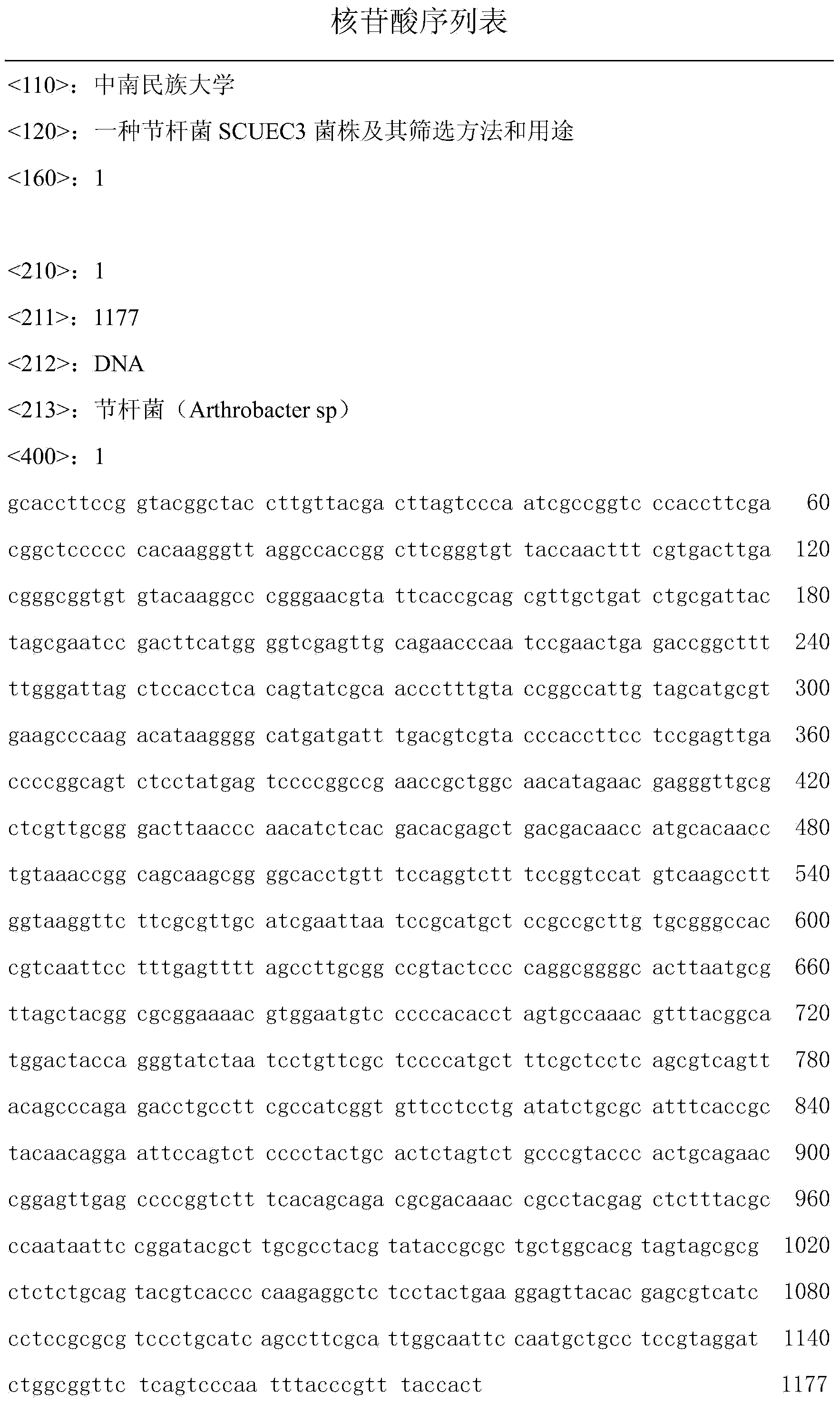 Arthrobacter sp SCUEC3 strain as well as screening method and application thereof