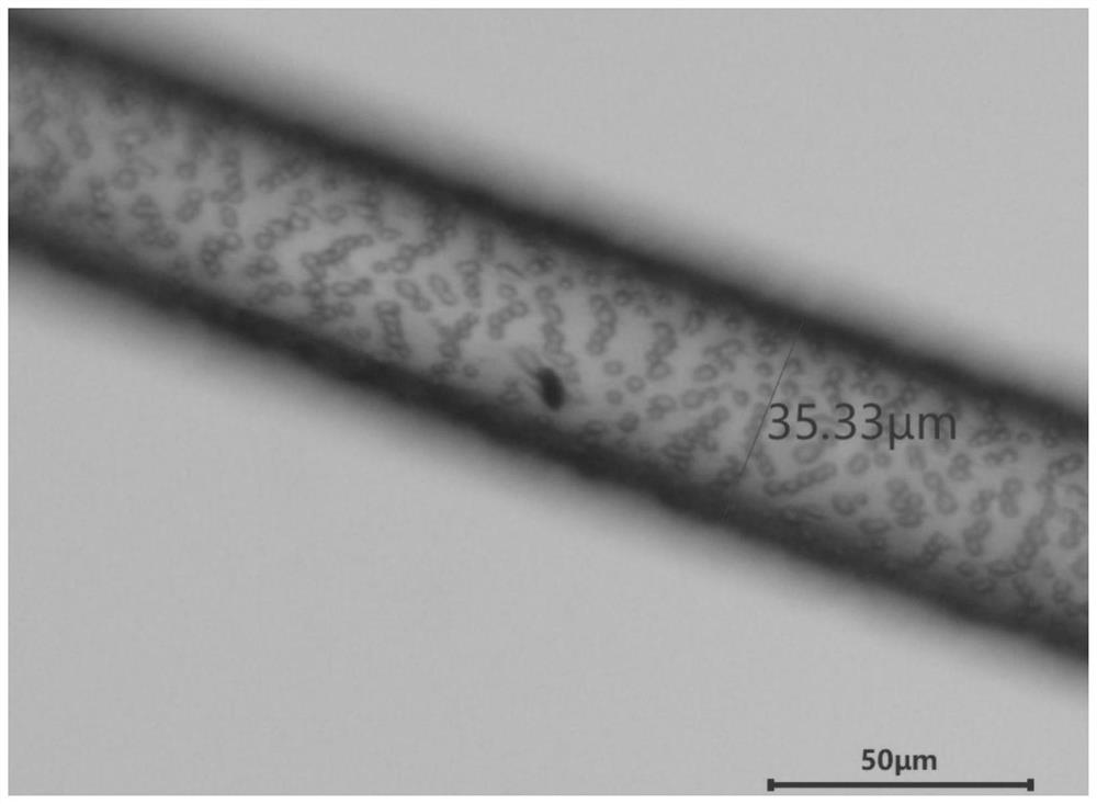 Method for preparing polytetrafluoroethylene fiber by wet spinning