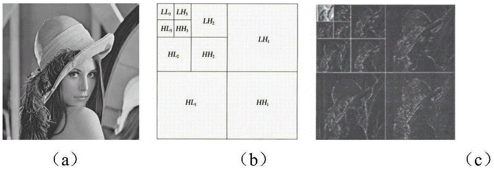 Wavelet domain color image watermark encryption algorithm based on differential evolution