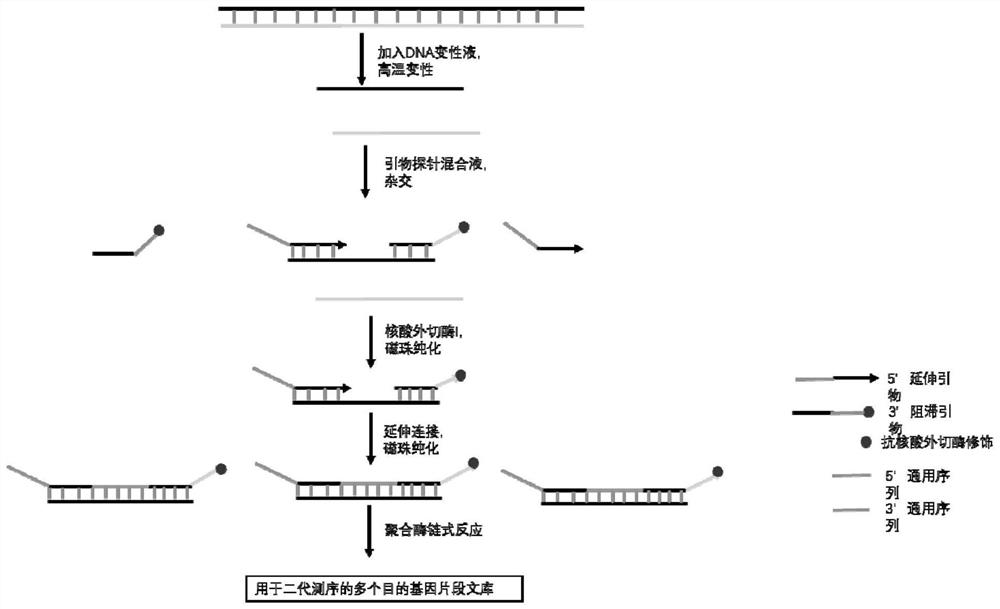 High-throughput library construction kit and library construction method for detecting thalassemia gene mutation