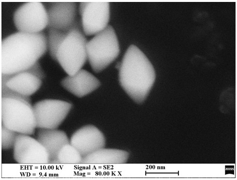 Sulfur-resistant monodisperse fusiform monatomic catalyst for denitration and preparation method of sulfur-resistant monodisperse fusiform monatomic catalyst