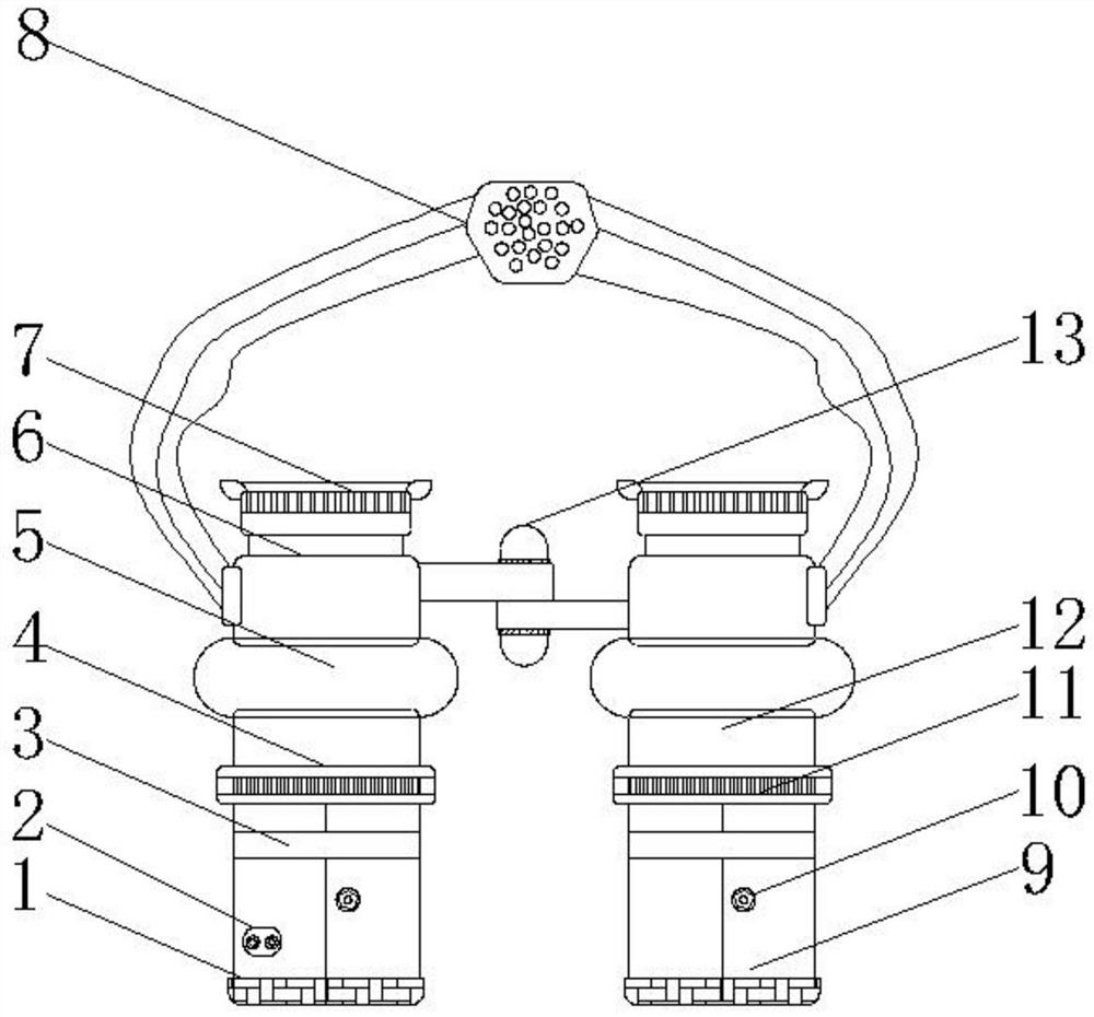 Laser speckle optometry machine for ophthalmology