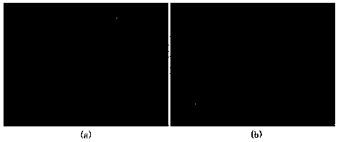 Recombinant protein and expressing method thereof in insect baculovirus expression system