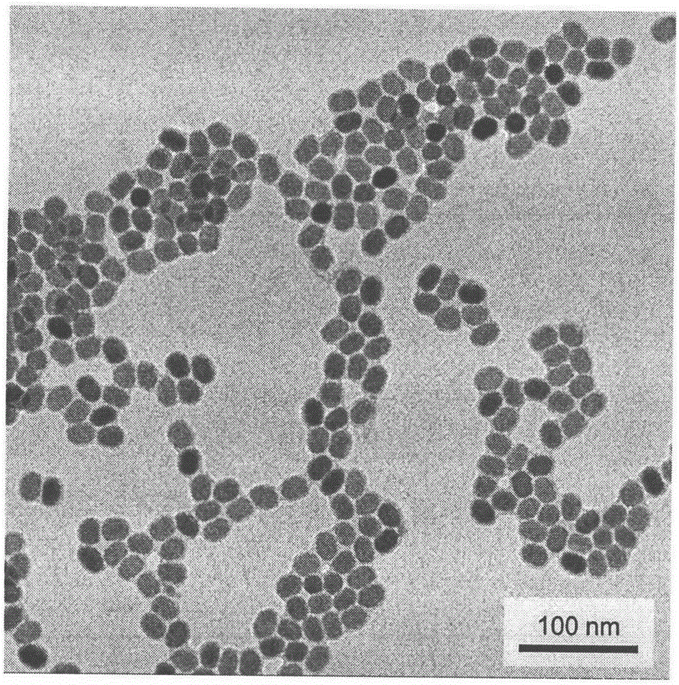 Method for preparation of composite material by embedding nanoparticles into perovskite nanowire