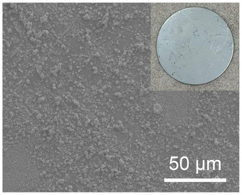 Aqueous zinc ion battery electrolyte and battery